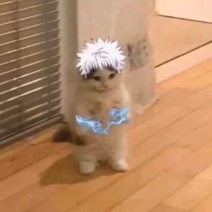 Meet your Posher, Marlene